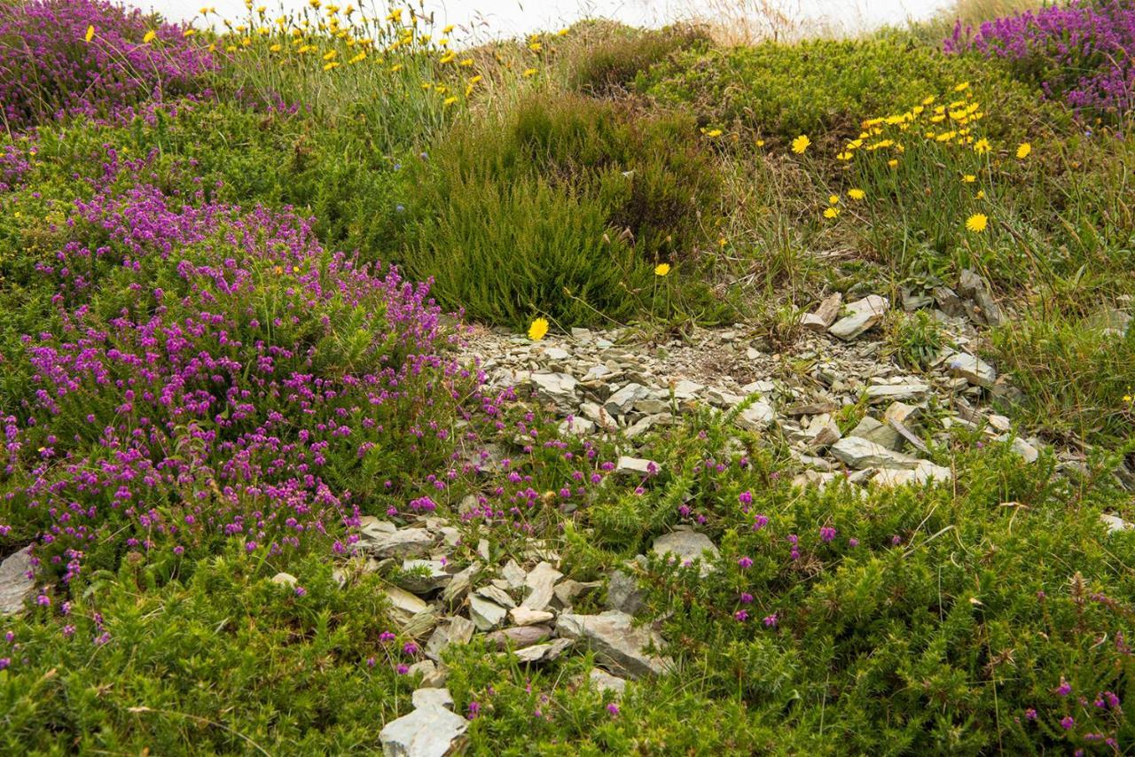 Ring Of Kerry - Einmaliger Blick Auf Skelligs Apartman Clynacartan Kültér fotó